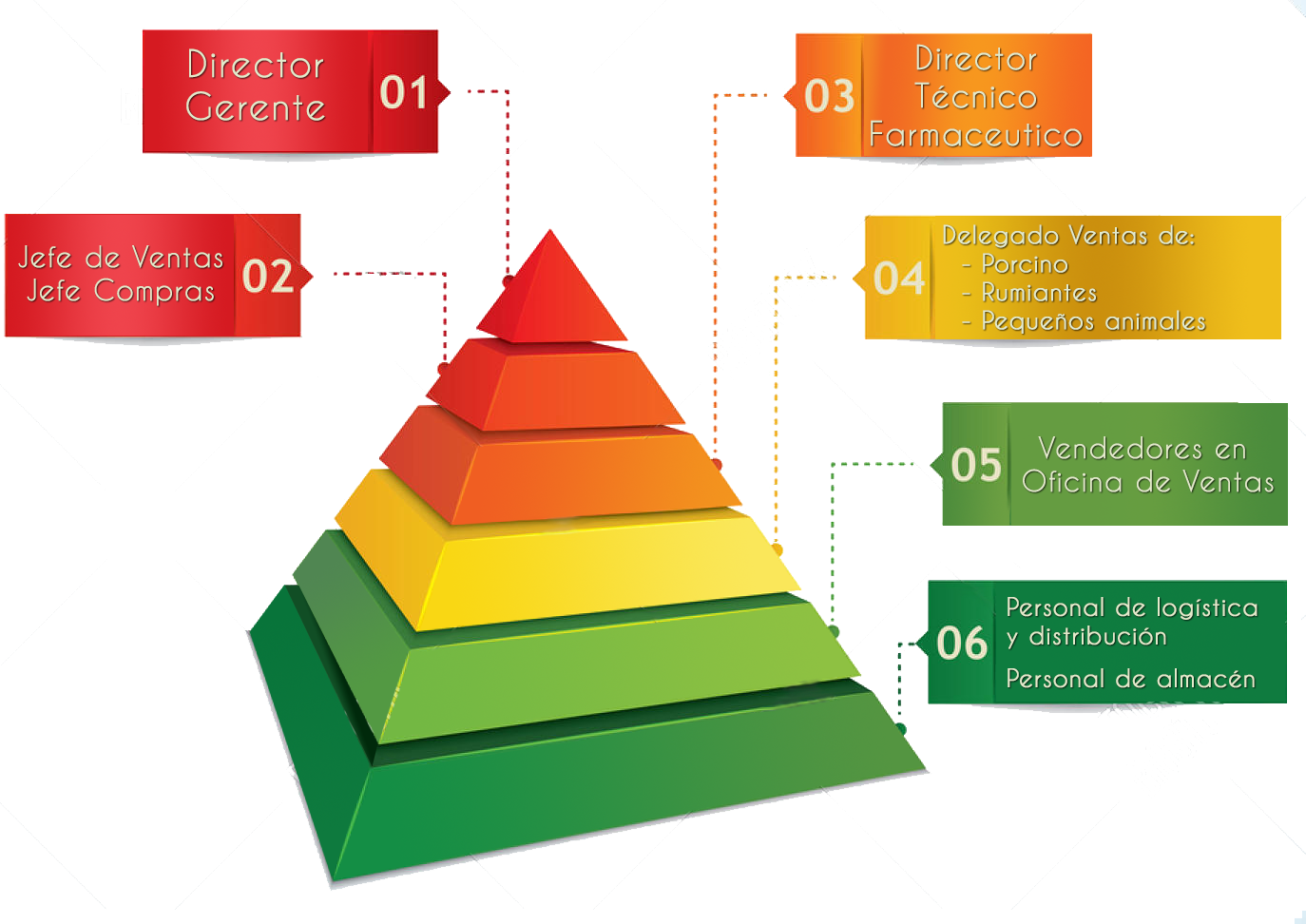 Esquema de organización de Agropexsa