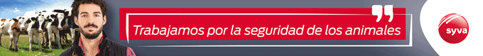 Campaña Betaline de Syva