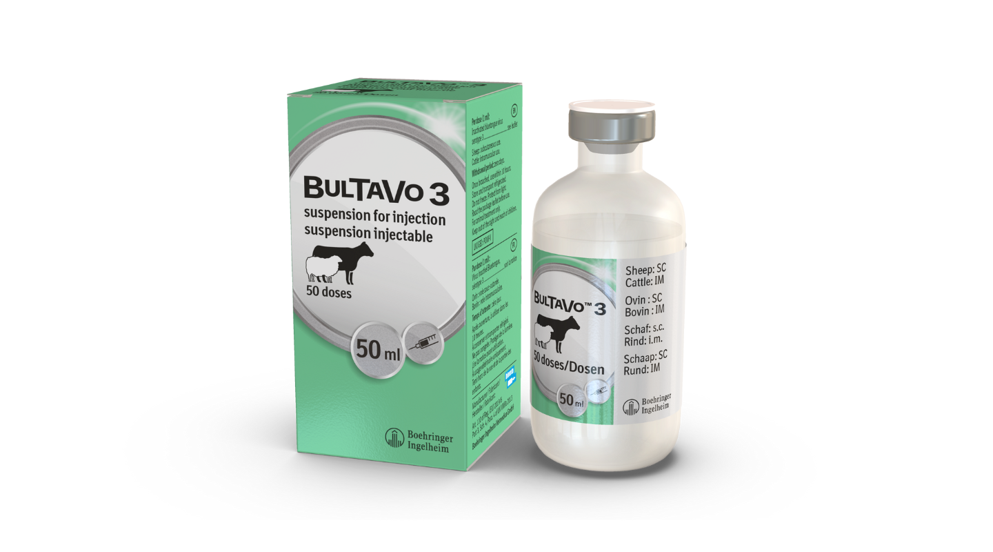 Bultavo 3